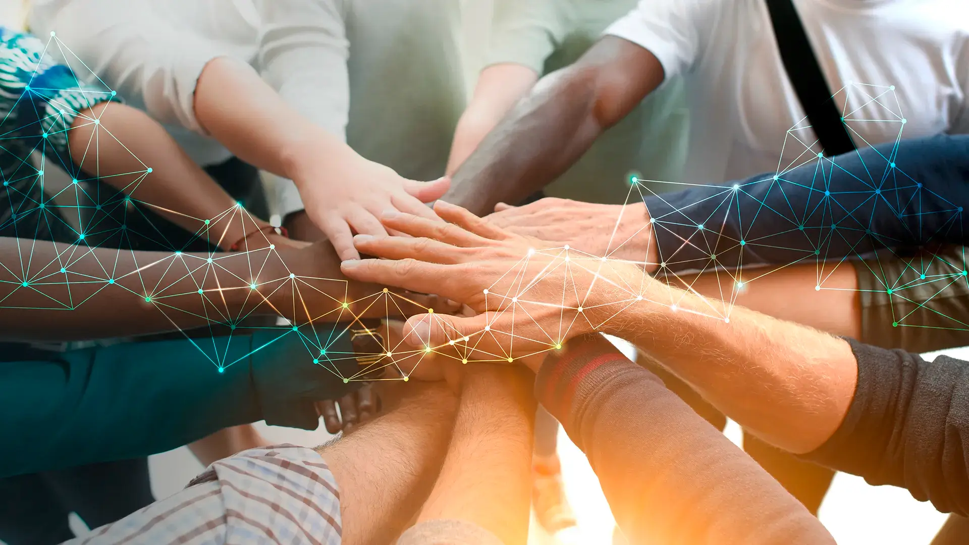 FiberBase Team
